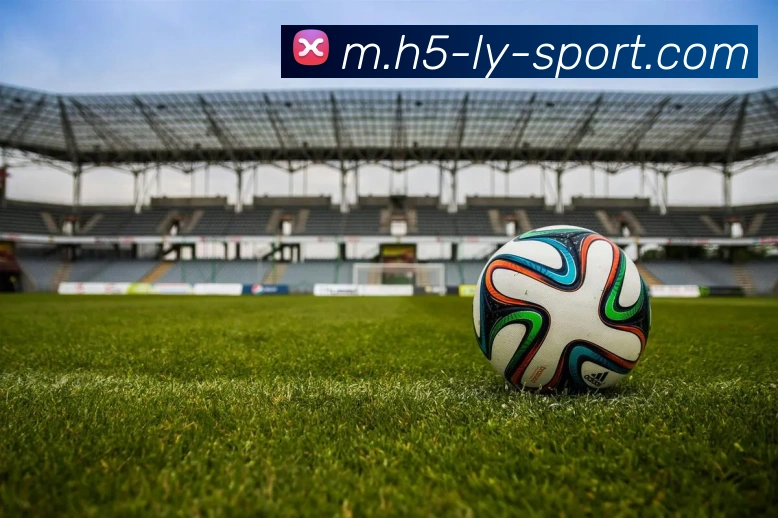 乐鱼体育发展历程