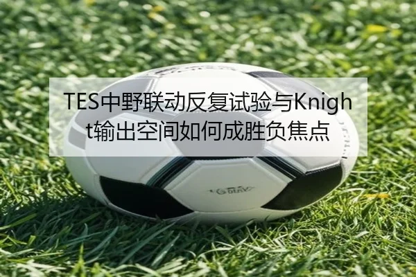 TES中野联动反复试验与Knight输出空间如何成胜负焦点（leyu.com）